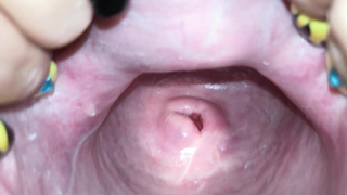 Cervix close up [4k]