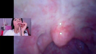 Lila jordan, Mini cam, vore fetish, endoscope