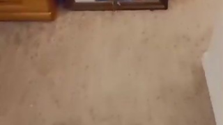 Giantess Annihilating Ryder