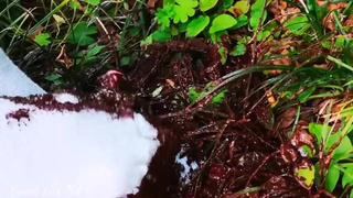 Giantess and Muddy Little Man to satisfy your Foot Fetish