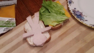 Eating Tommy Turkey In My Sandwich