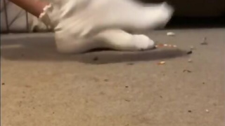 Nike sneaker and socks crush giantess Kristine