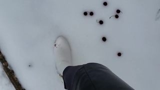 Stomping Cherries in the Snow