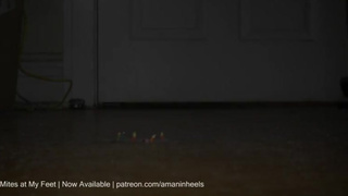 Mites at my Feet (Teaser)