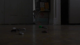 Tinies vs my Colossal Socks