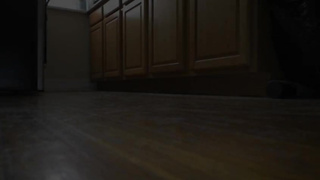 Giant Unaware in the Kitchen (slow-mo)