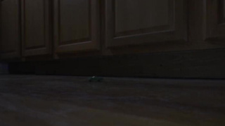 Tiny Truck in the Kitchen