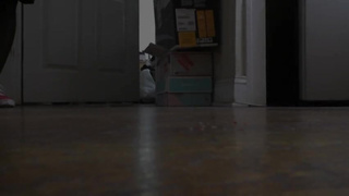 Tinies Stuck on my Socks