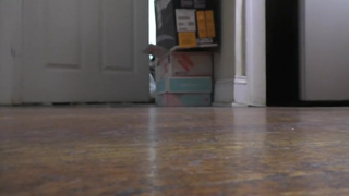 Giant Unaware Sneakers