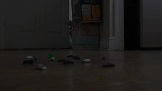 Giant Boots vs Tiny Cars