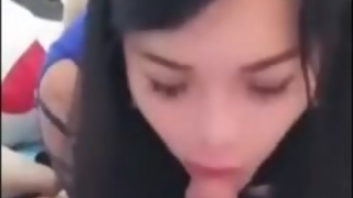 she is a profesional cocksucker ladyboy in Thailand