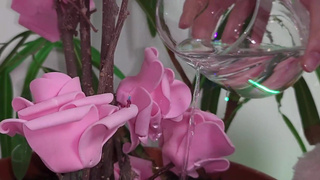 Giantess Relieves Tiny Man's Thirst