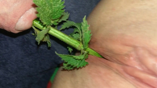 Urethral Nettle Fucking - BDSM Sub female takes nettles in the pussy