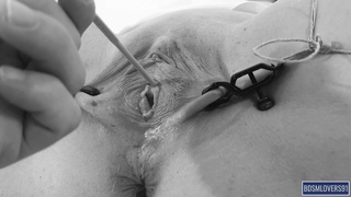 My First time Sounding with STRECHED PUSSY pee orgasm - Bdsmlovers91