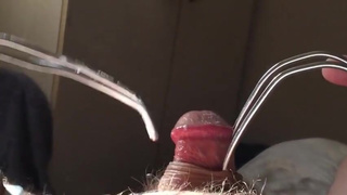 I love doing BDSM with my dick