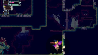 Flip Witch Forbidden Sex Hex Test