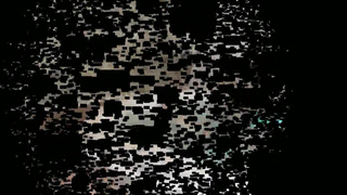 foot worship toe sucking