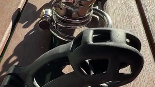 Locktober is here!! Which cage should we use???