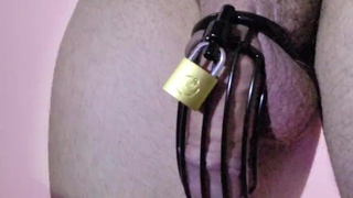 Locktober tried to milk my prostate with the cage on