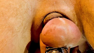 What sounds! Lovers of golden rain!