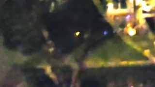 Extremely Risky Walking in public near condos chastity cage