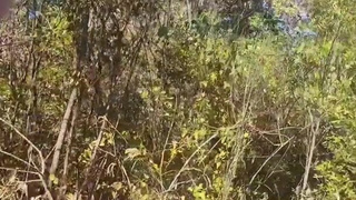 VERY RISKY!!! Chastity cage dick out Hiking!!! ????