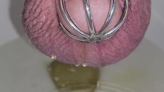 CHASTITY Having to sit to pee Like A Girl!!!