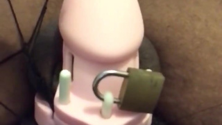 A half-minute of me rubbing a vibrator on my caged cock~???????? (@berryguild)