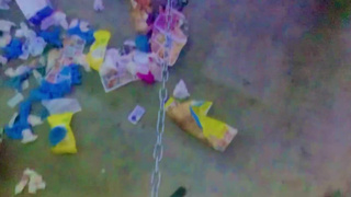 sissy p[ig kept on short chain in its pigpen angel Scarlett black