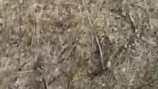 Humiliating my Loser Cuckold Ex Bf Publicly in the Forest! - More on OF