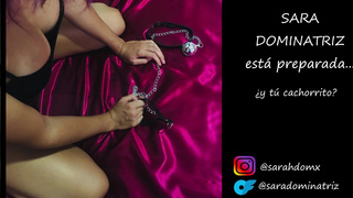 Sara Dominatriz quiere jugar con sus cachorritos sumisos