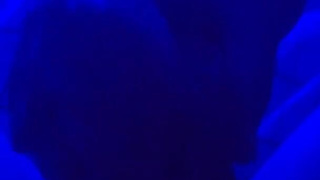 I love letting him out to tease and lock him right back up!