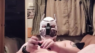 Pup play with himself with chastity on