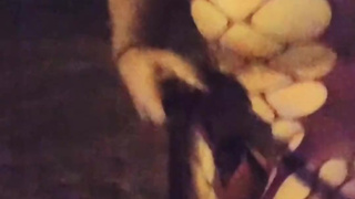 Extremely Risky Public Night Walk In Chastity and Lingerie!