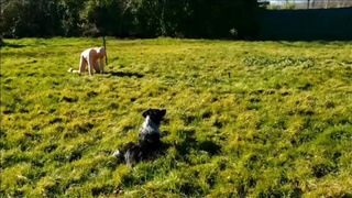 VOST engl - Training spreader bar 1