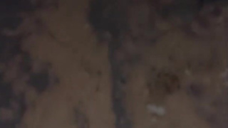 Risky bottomless, caged slut walks in public