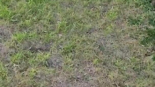 Locktober Day 2 teamlocked challege 1km run