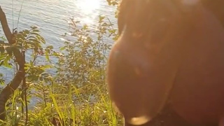 Taking a walk, reminding hubby why his milking was postponed. Femdom. Humiliation. Chastity. Denial.