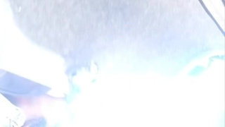 Slave has cage out while loading the trunck