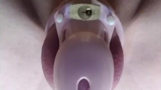 Fucked in chastity