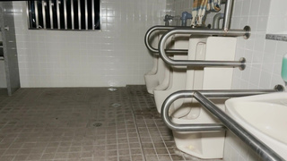 I imitate a human toilet in a public toilet at night.