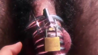 Dreamed Chastity tease femdom