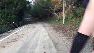 Naked transvestite. She plays exposed with garter stockings and a collar.