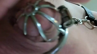 Cross Dresser Odessa Bondage Chastity Solo Dripping Precum smooth brunette crossdresser mistress