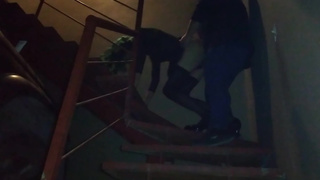 GF fuck Sissy CD outside her apartment (risk pegging)