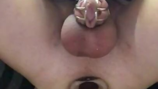 Tgirl Glass plug in chastity