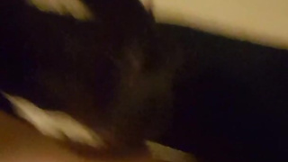 Rachel Zoe takes big cock in chastity