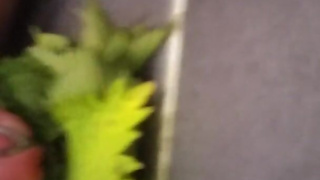 Nettle Torture Orgasm