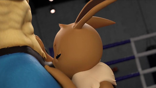 LucarioVSEeveeanimation