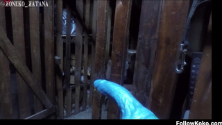 Who I Am & Why I Love RLC